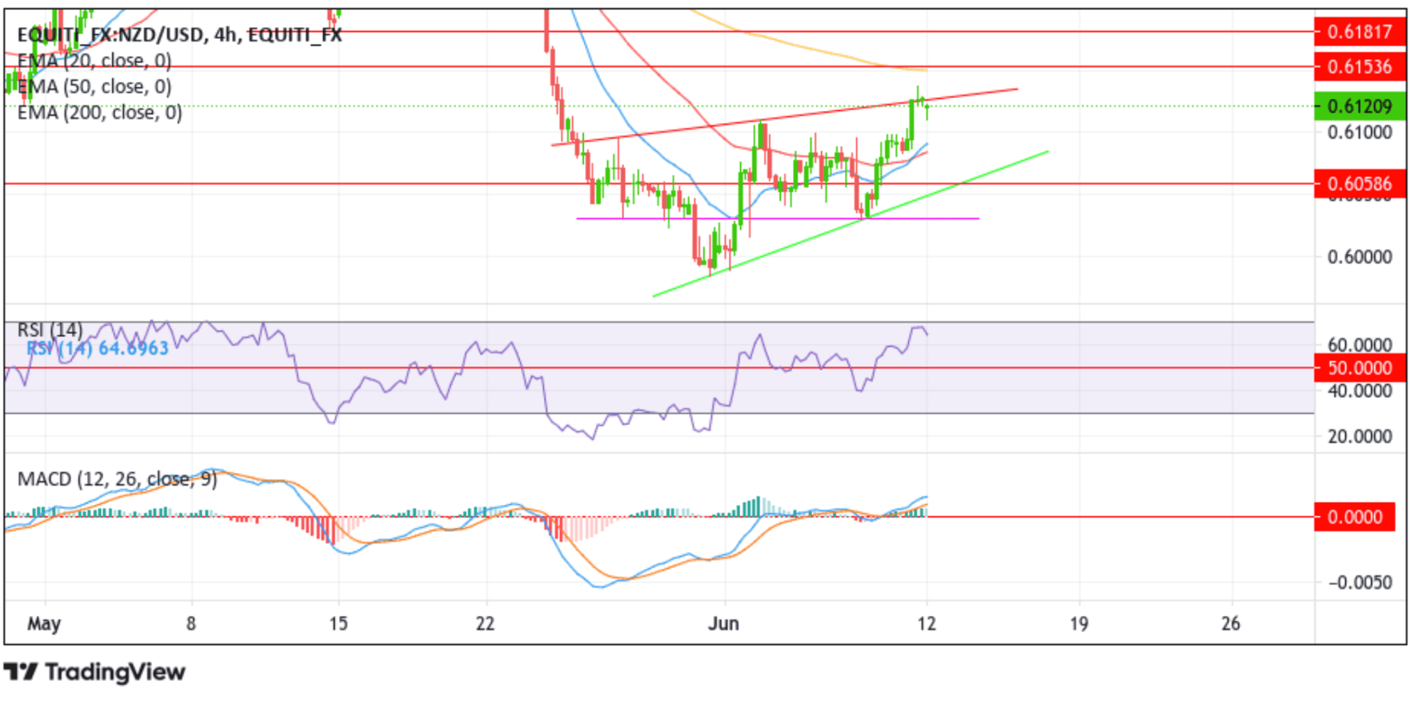 NZDUSD Rebounds Sharply And Settles Back Chart