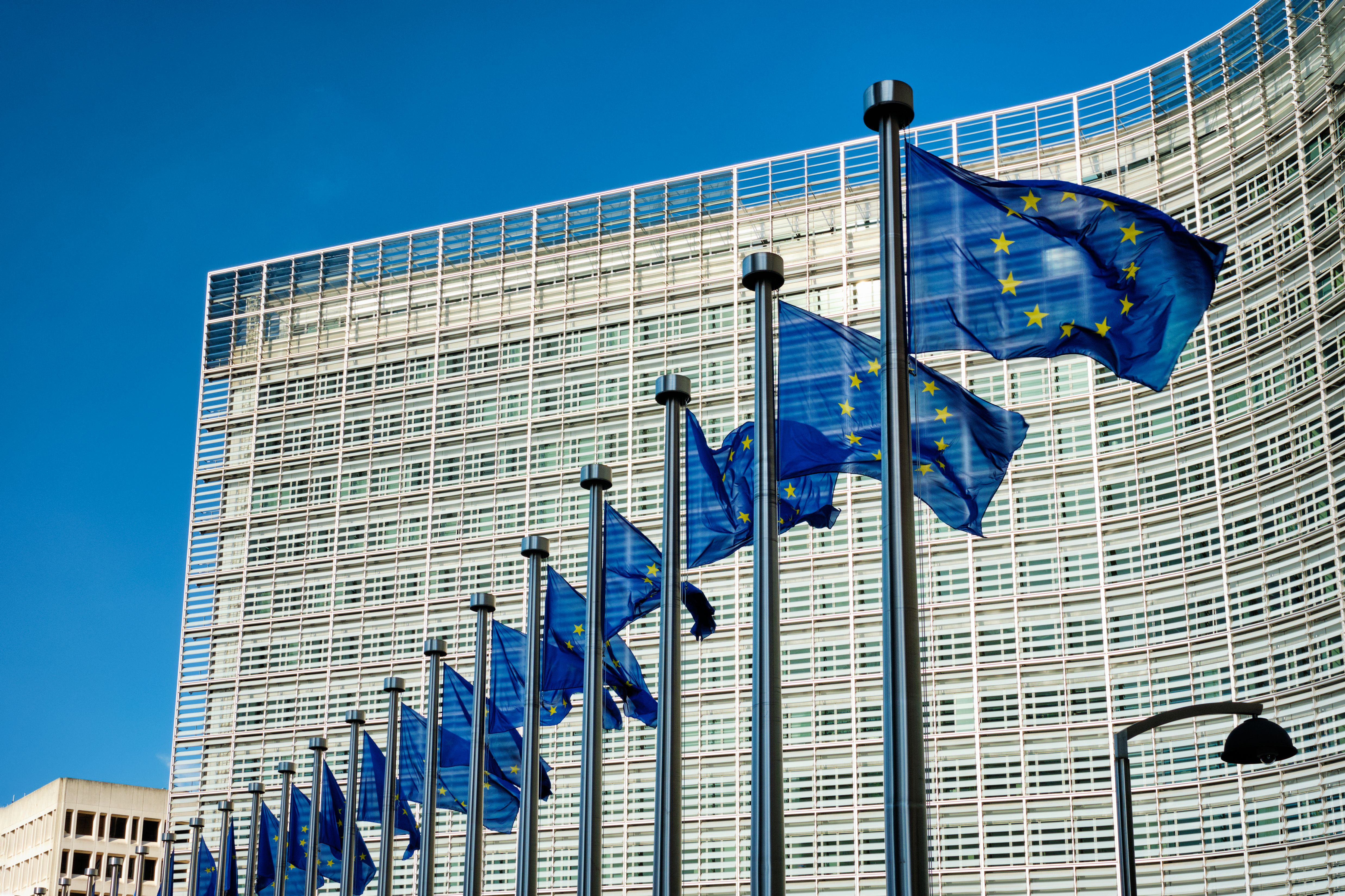 eu-flags-in-front-of-european-commission-2023-11-27-04-45-29-utc.jpg