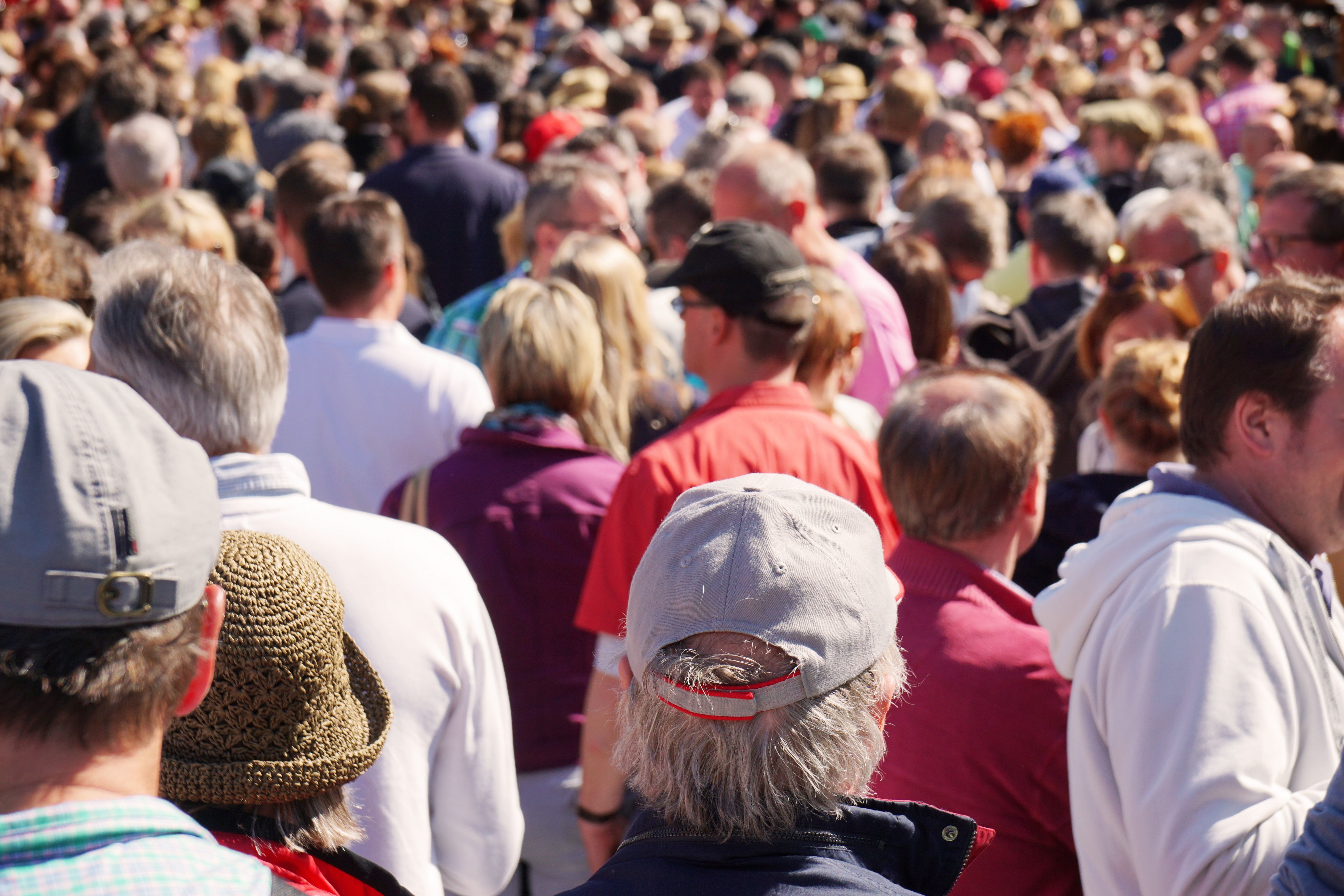 rear-view-of-crowd-of-spectators-at-public-street-2022-11-16-17-06-46-utc.jpg